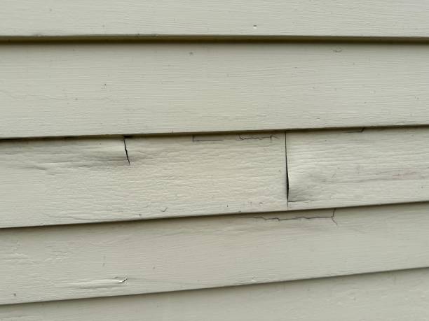 Best Steel Siding Installation  in Bertsch Oceanview, CA